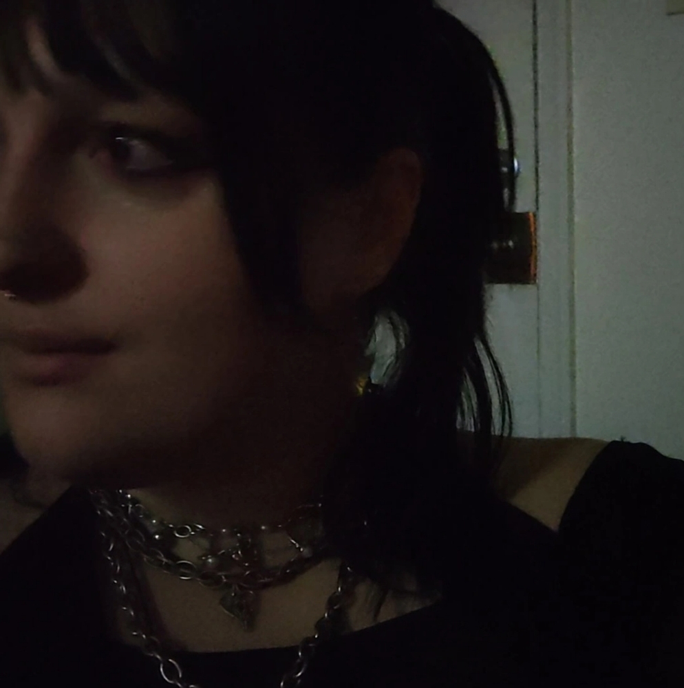 Meet your Posher, Paige